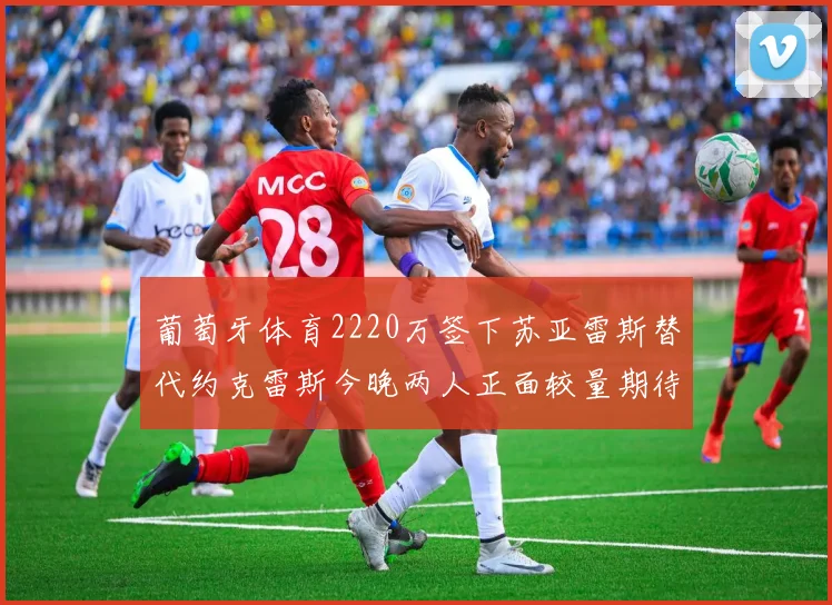 葡萄牙体育2220万签下苏亚雷斯替代约克雷斯今晚两人正面较量期待精彩表现